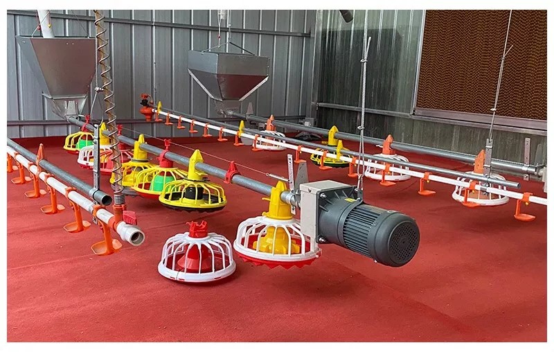 Poultry Farms Pan Feeder System Chicken Breeding