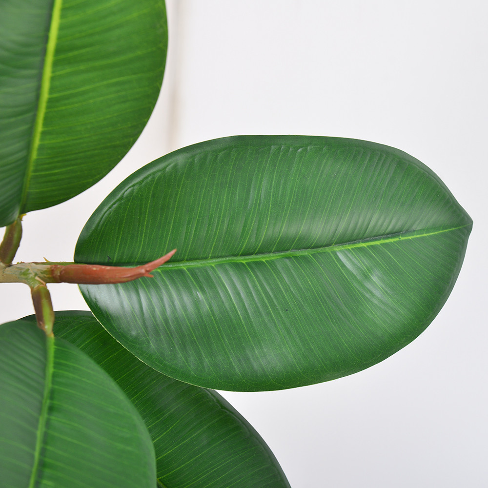 Artificial Potted Floor Plants Small Ficus Pandurata For Garden Decoration