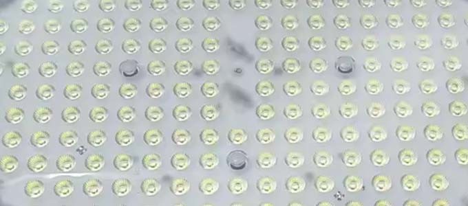 1000W Round Led Field Lights Sport Ra70 Portable Field Lights For Outdoor Stadium
