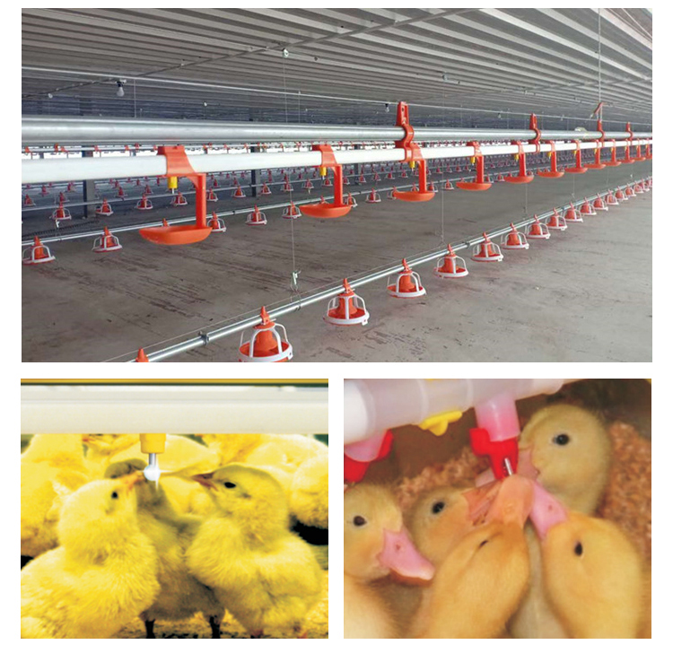 Nipple drinker for pig poultry feeders and drinkers chicken 8