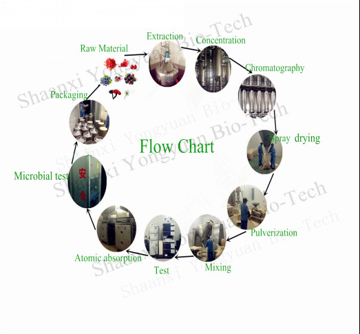 Yeast β-glucan, new resource food, enhance Immunity, anti-tumor, anti-radiation, Oat β-glucan, hot selling