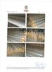 Anping County Hengyuan Hardware Netting Industry Product Co.,Ltd. Certifications
