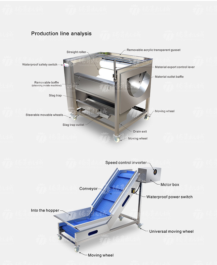 SS Fruit And Vegetable Hair Roller Bubble Cleaning Machine 800KG/H
