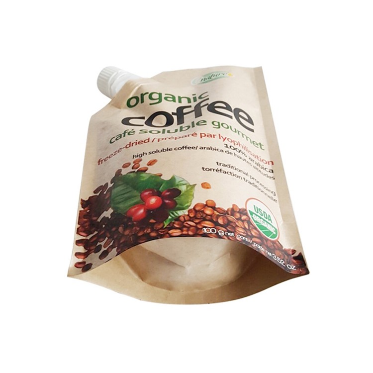Liquid Kraft Paper Spout Pouch Packaging Custom Printed 1000ML Eco Friendly