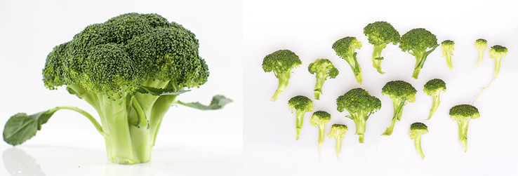 200kg Broccoli Vegetable Chips Making Machine High Performance 75-110℃ Temperature