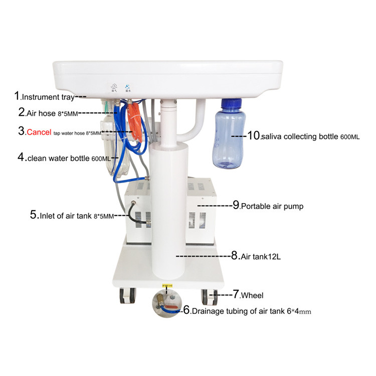 90 Degree Dental Unit Electric Veterinary Medical Supplies