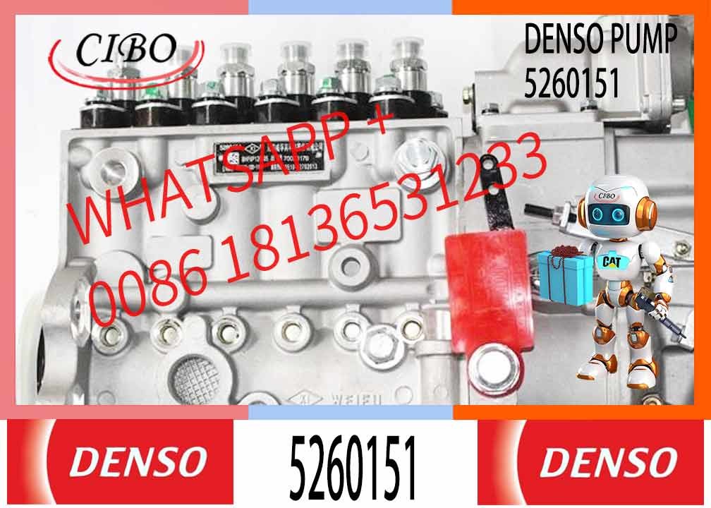 New Diesel Engine Spare Parts Fuel Injection Pump For Cummins 6LTAA8.8/340 30 Truck Engine 6PH110 1001130120 5260151