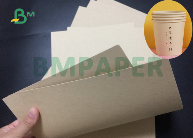 240Gsm 260Gsm Food Grade Natural Color Cup Paper Material for Making Coffee Cups 