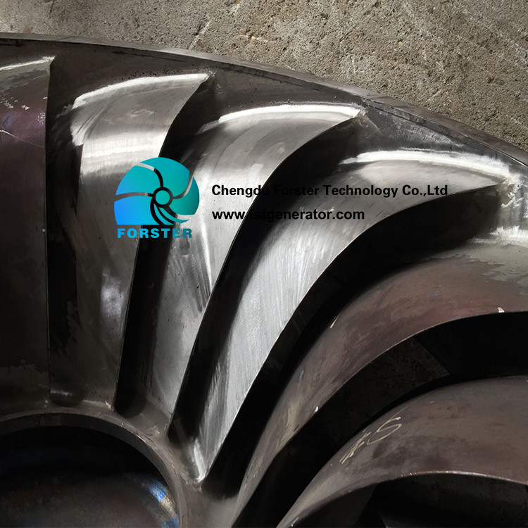 Brushless Excitation Francis Turbine Generator Unit For Medium Lift And Large Flow