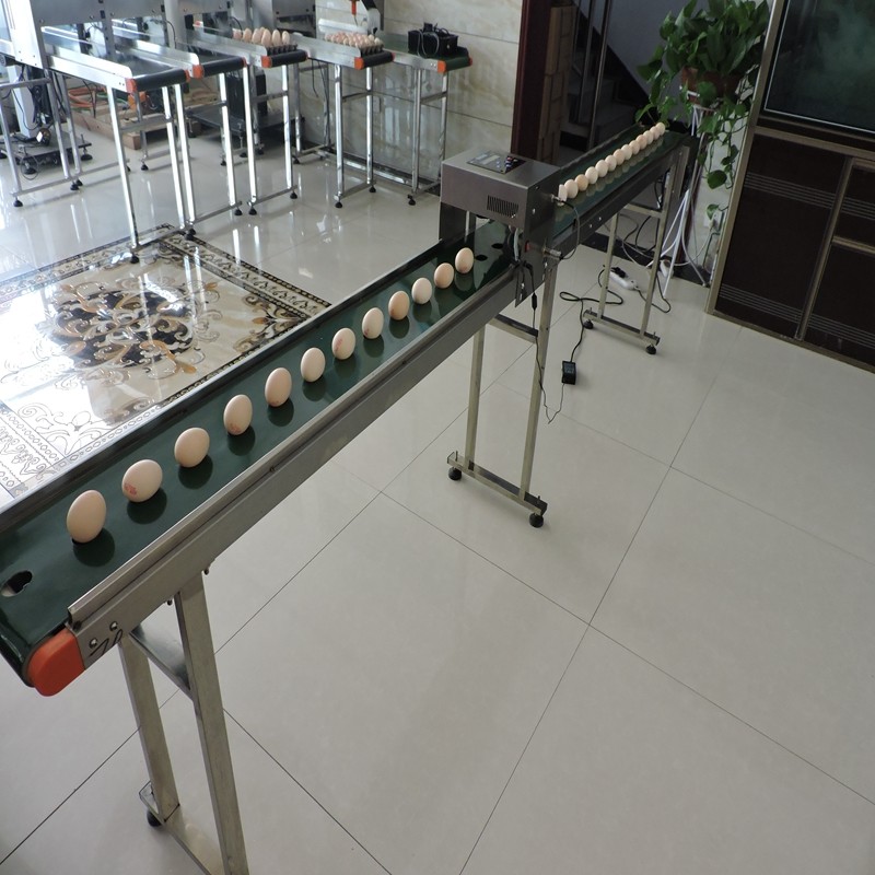Small Character Expiry Date Printing Machine , Logo Making Machine 600 DPI