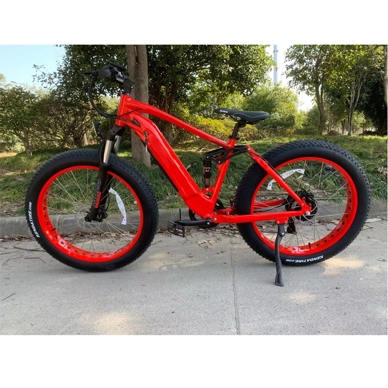 Aluminum Alloy Frame 26*4.0 Fat Tire Electric Bike with Customized Multicolored Design