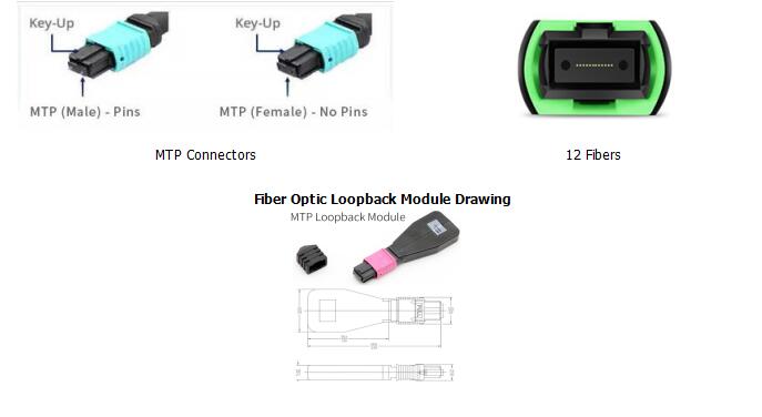 12 Fiber MTP Singlemode Fiber Optic Loopback Module /Cable