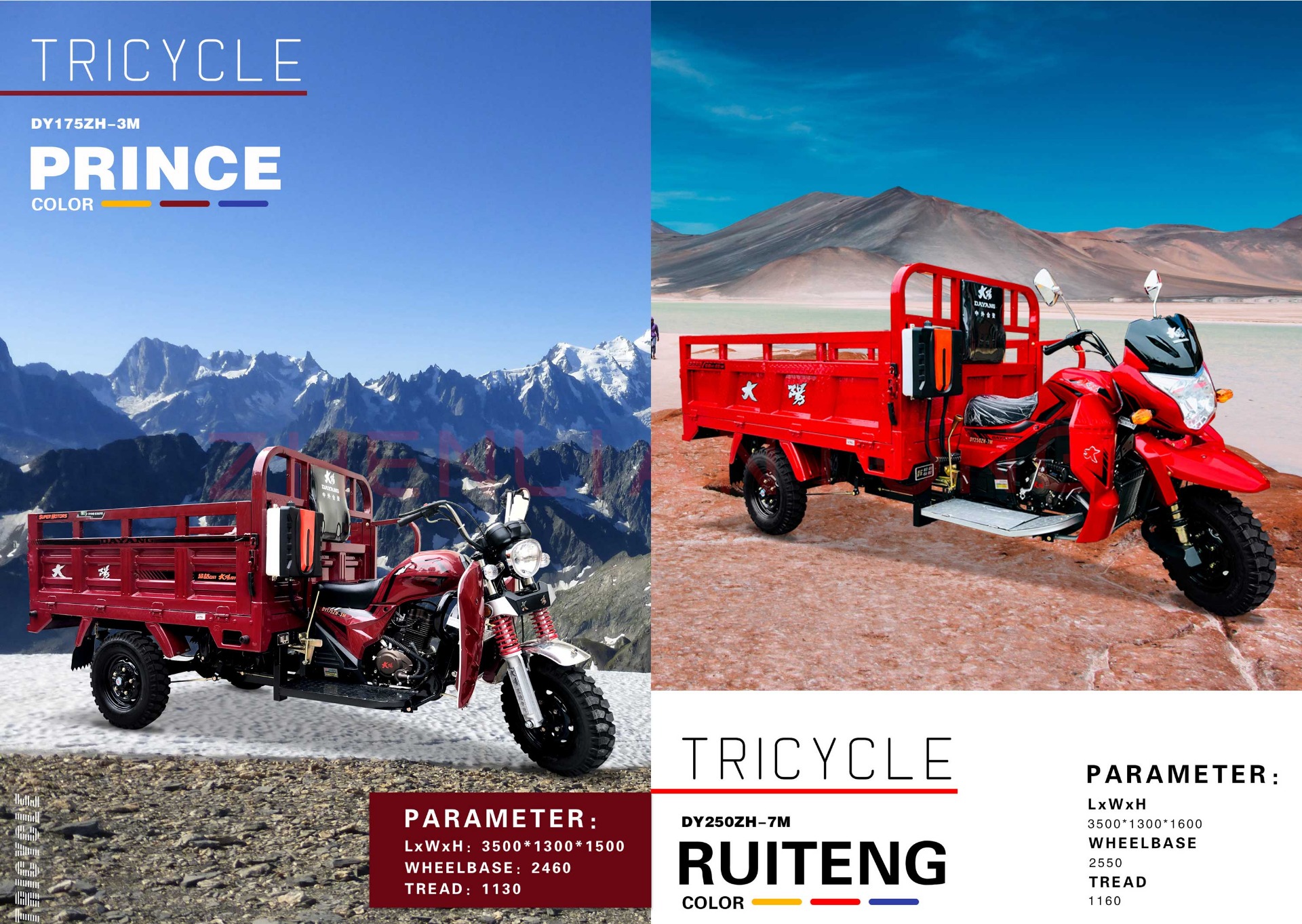 Dayang 3wheels Motorcycle Tricycle with Customized Cargo Box Size 2.4*1.5 and 12V Power