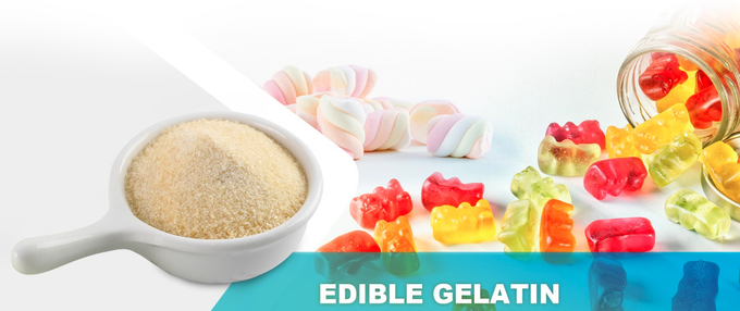 100 Bloom -180 Bloom Bovine Gelatine Halal For Wine Gums / QQ Candy