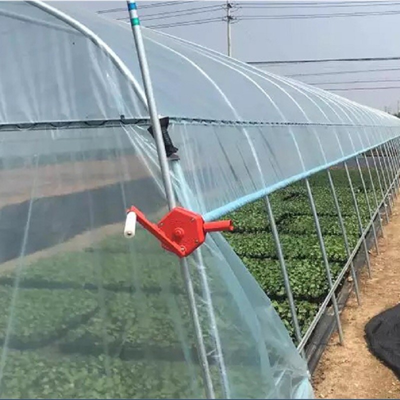Automated Single Layer High Tunnel Passive Solar Greenhouse For Strawberry