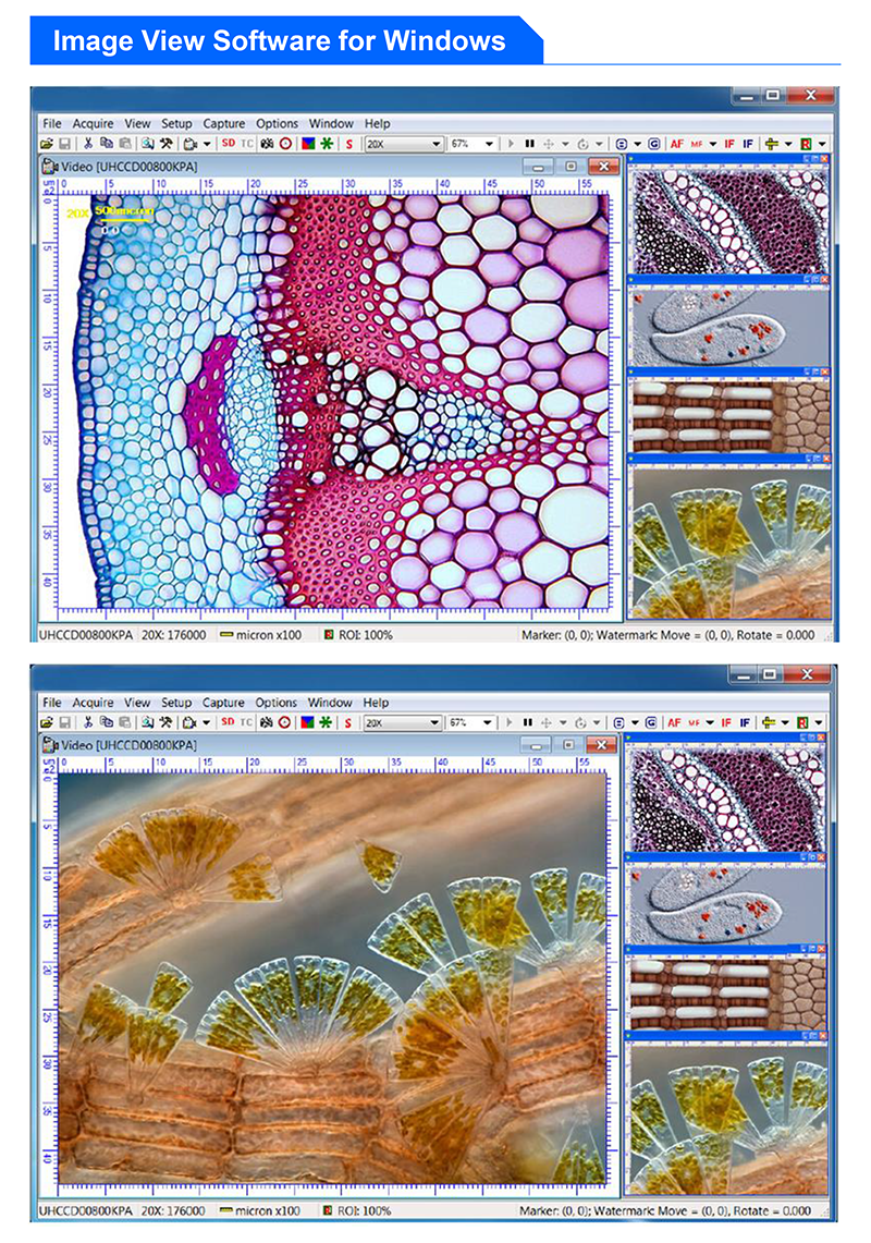 USB3.0 Digital USB Microscope Camera Microscope Accessories A59.2211