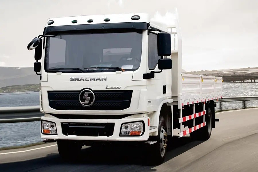 245HP Support Customization l3000 shacman Cargo Truck 4x2 Transport Vehicle