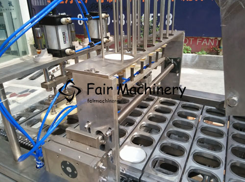 8KW SS316 Cup Filling Sealing Machine 6 Cups For Granule 5400B/H