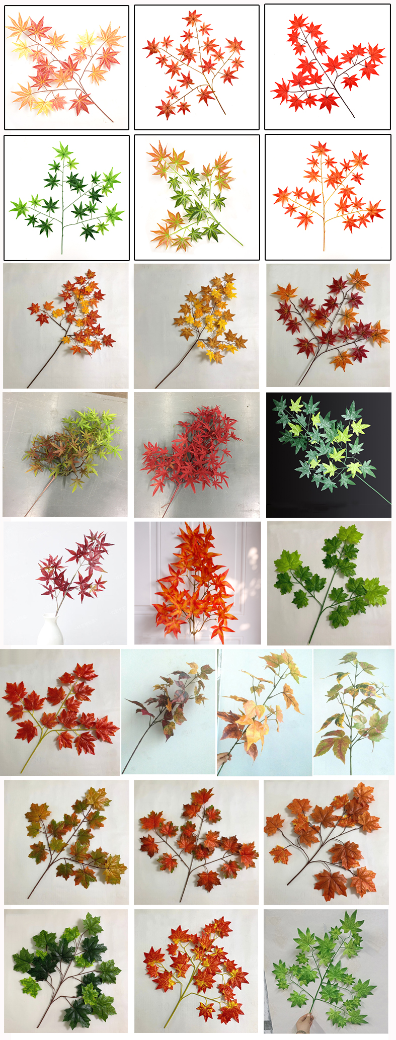 maple.jpg