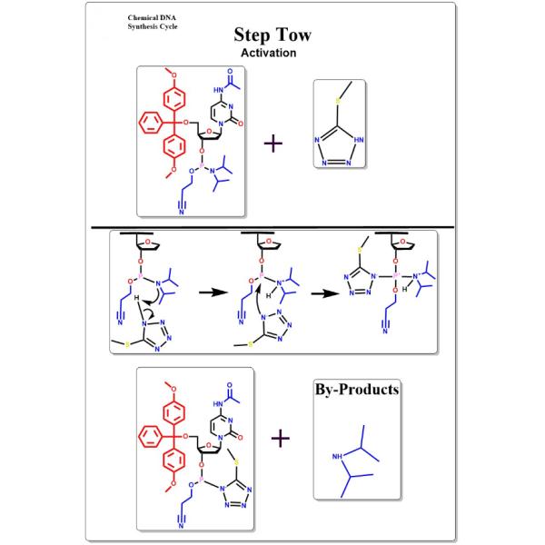 IVD Company's Nucleic Acid Oligonucleotide Synthesis Equipment for Optimal Efficiency
