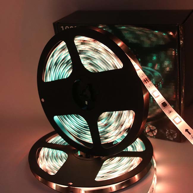 12V IP65 10M Dreamcolor RGB LED Strip