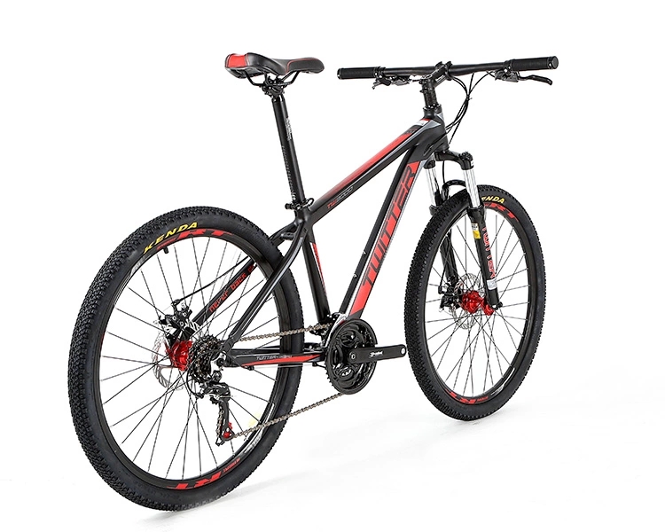 Lightweight Carbon Fiber Road Bike Road Racing Bicycle 24 Speed Gears CE