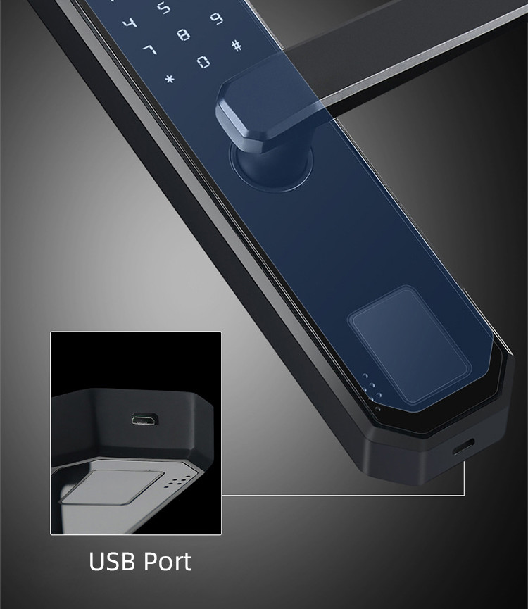Damp Proof Fingerprint Smart Door Lock Size 20mm For Apartment