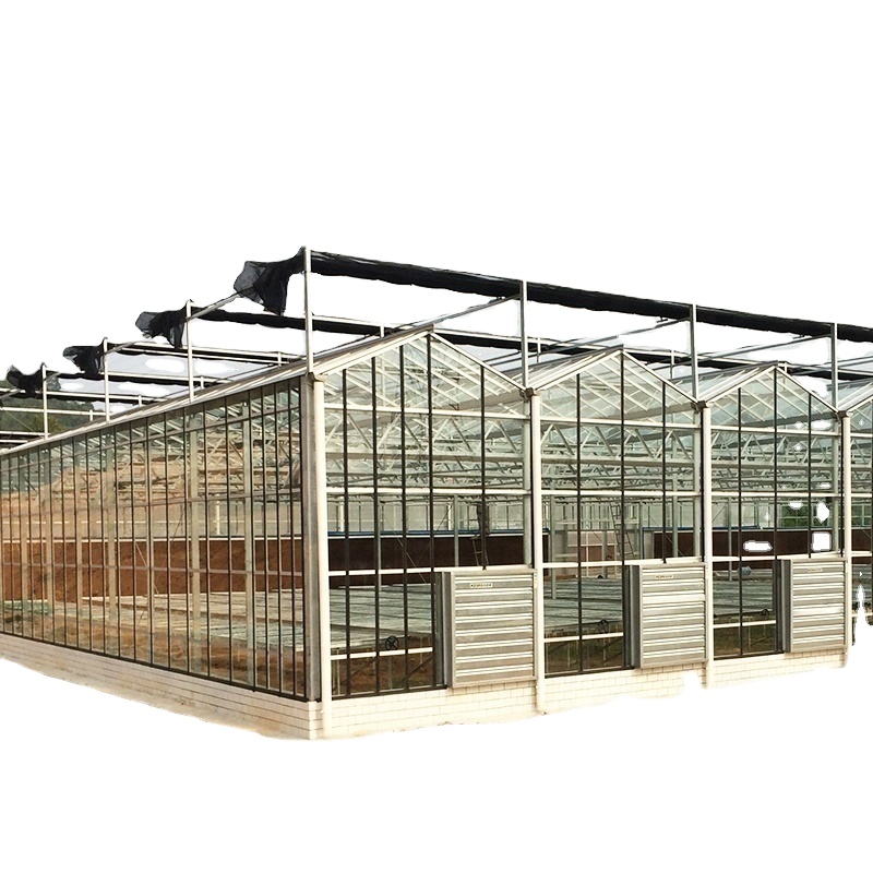 Ventilation Vents for Optimal Growth of Tomatoes and Other Vegetables in Greenhouse