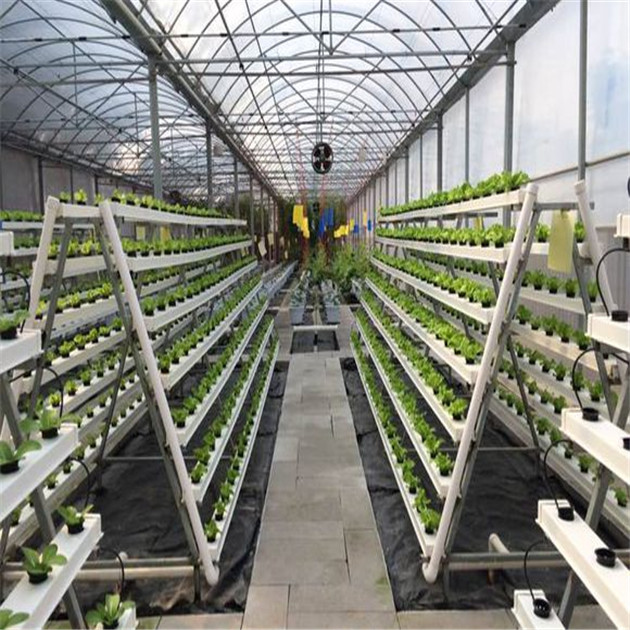 Agriculture Commercial Hydroponic Greenhouse Span Width 6 / 8 / 10m Snow Load 0.45KN/M2