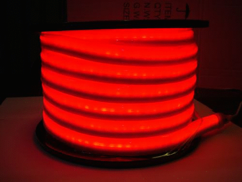IP68 Waterproof DC12V 24V PVC 5050 RGB LED Neon Flex For Outdoor Dercorative With 2 Years Warranty