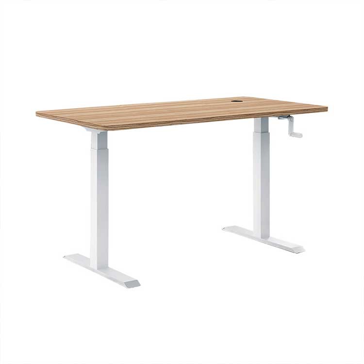 1.6M Electric Sit Stand Desk Ergonomic Lifting Standing Table