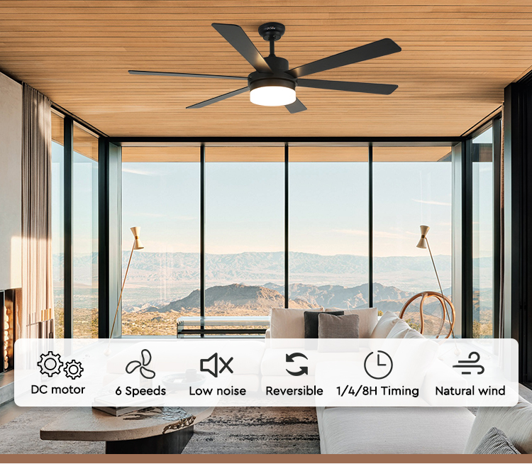 ceiling fan