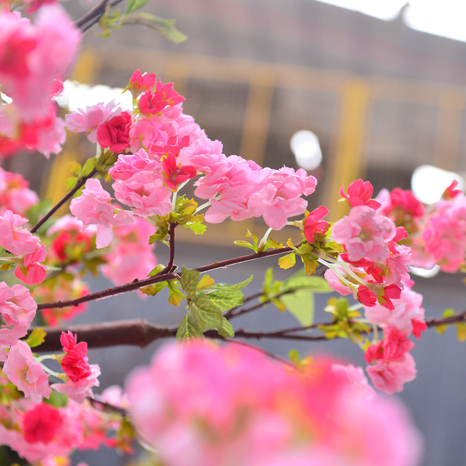 250cm Plastic Artificial Cherry Blossom Tree Decoration Plant For Reception Center