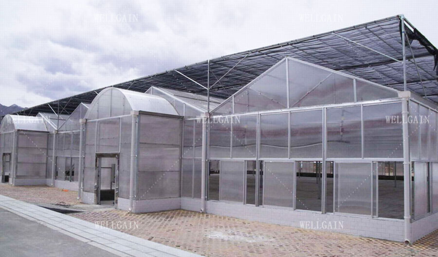 Commercial Agriculture Polycarbonate Sheet Greenhouse PC Sheet Greenhouse