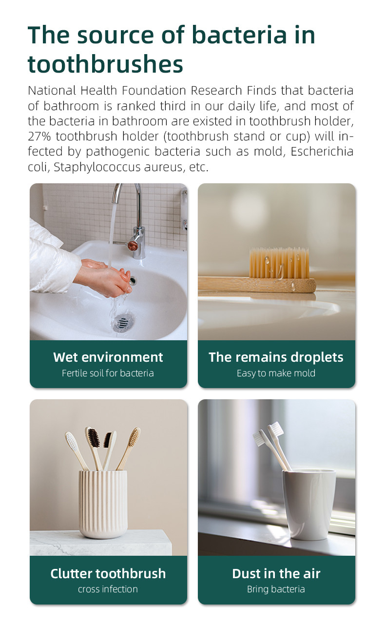 White Smart Toothbrush Disinfection Case With IPX7 Waterproof And RoHS Certification