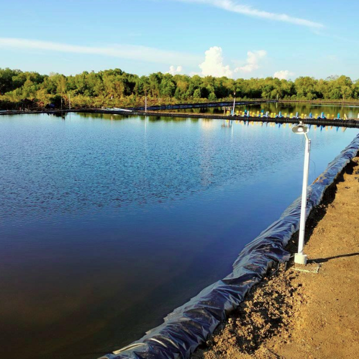 High Density Polyethylene Fish Pond Rubber Lining with Customizable Thickness