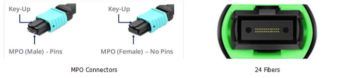 24 Fibers MPO to LC OM4 Fiber Optic MPO-LC 2.0mm Straight harness Cables