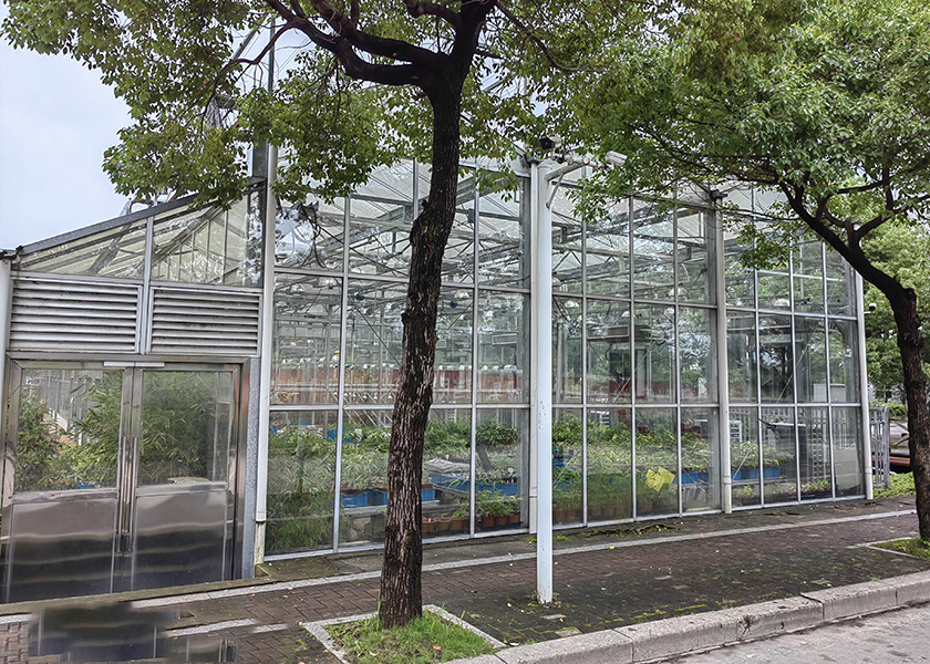 Heat & Cool Adjustable, Beautiful Good Looking VENLO Glass Greenhouses