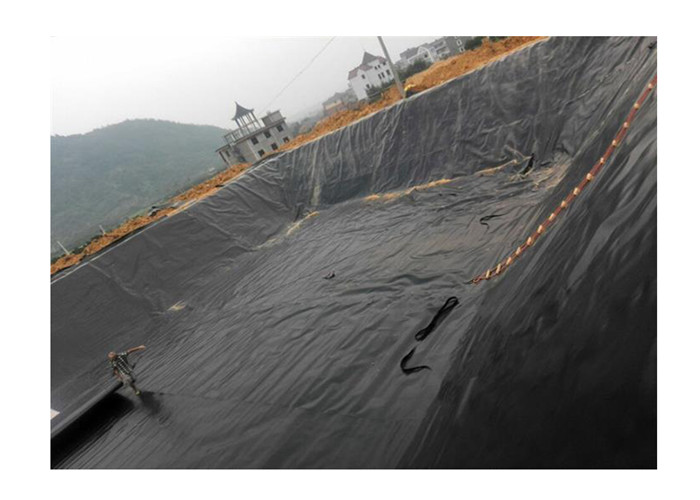 Thickness 3mm Hdpe Textured Geomembrane Sample Free Material Liner