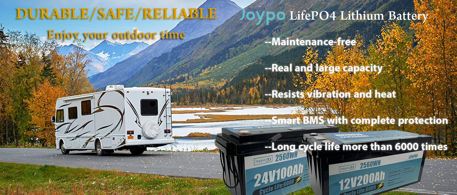 Smart BMS Long Life 24V 100Ah Lithium Ion Battery RV Camper Lifepo4 Battery Pack