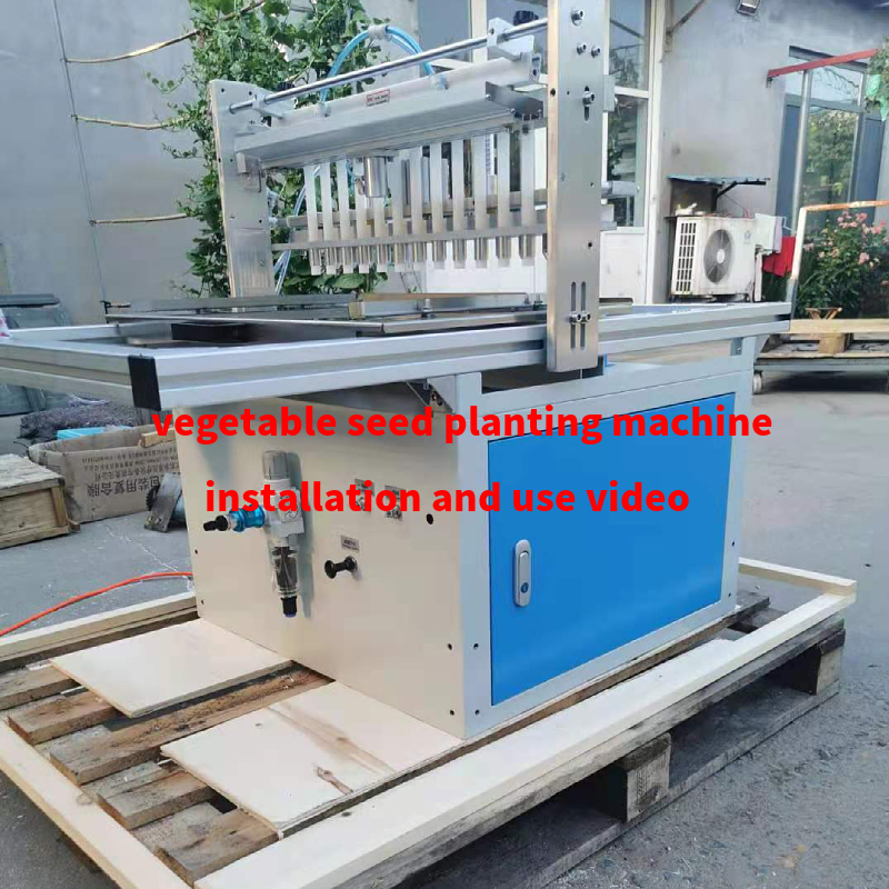 Hydroponic Sponge Seed Planter Line for Seeding Cucumbers and Squash Automatically