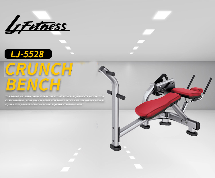 Commercial Gym Rack And Bench , Body Building Abdominal Crunch Machines