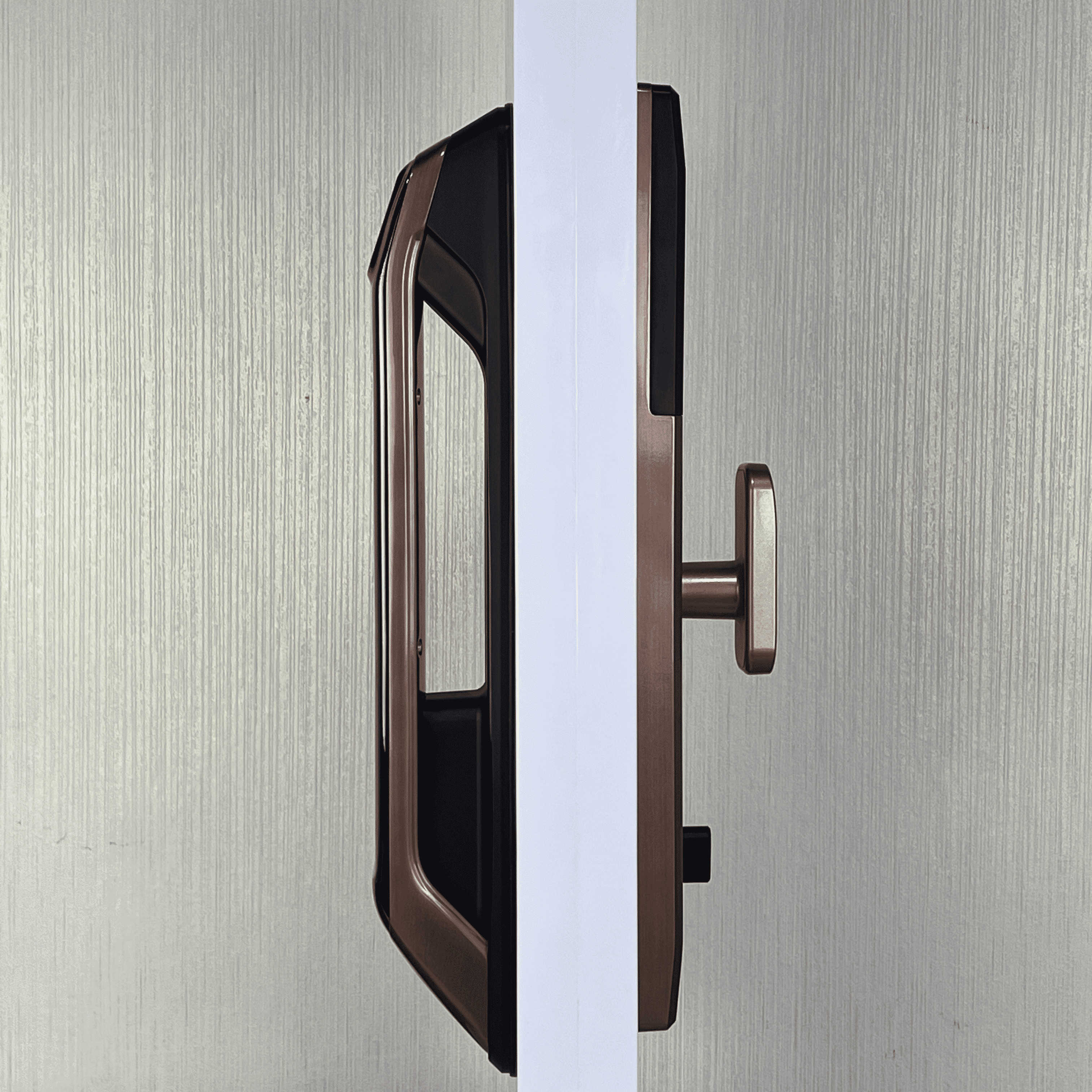Black Face Recognition Door Lock Smart Eye Recognition Door Lock