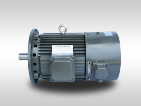 Asynchronous Electrical Generator High Torque Motor Three - Phase Long Life