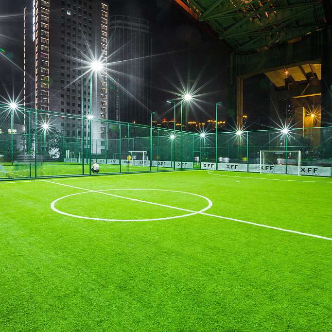 SGS Synthetic Grass Carpet Artificial Lawn Landscaping Football Court Decorative
