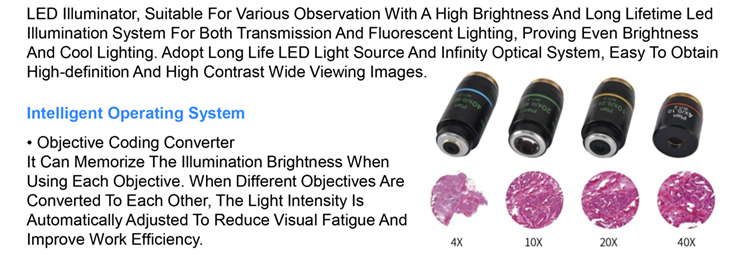 OPTO EDU A14.1064 Inclined Phase Contrast Fluorescence Microscope