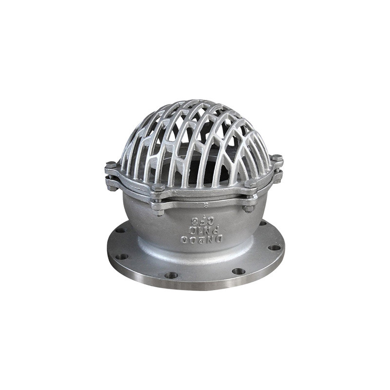 Flanged Stainless Steel Foot Valve Bottom Valve