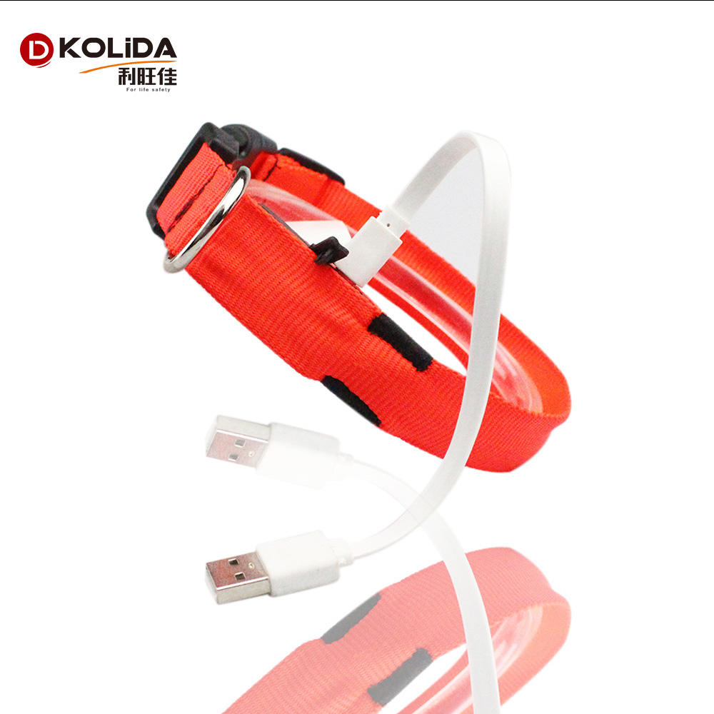 C906 Wholesale Factory Cheap Price C906 Luminous Nylon Pet USB Rechargeable Led Dog Collar for safety