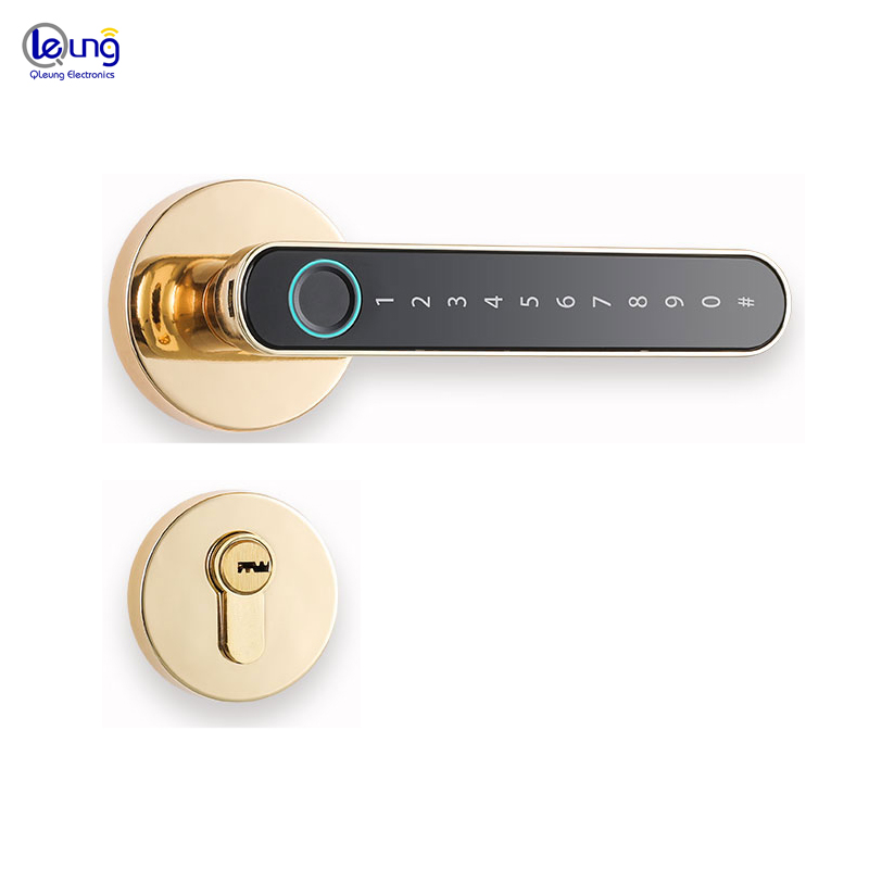 Black Tuya BLE Biometric Fingerprint Door Lock S604L Keyless Entry Door Lock