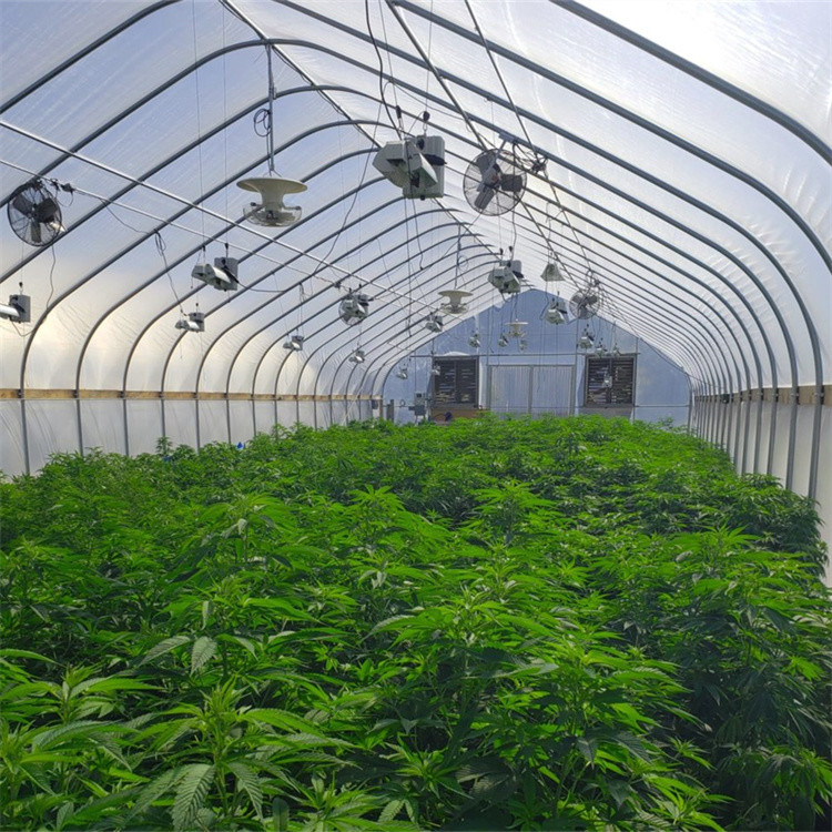 Portable Hot Dip Galvanized Steel Auto Light Dep Greenhouse For Herb